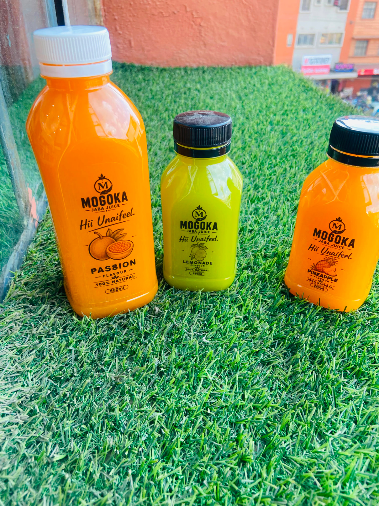 Mogoka bottles in two sizes on rooftop grass